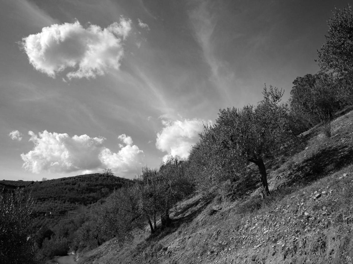 Agriturismo Il Casaletto Montefranco Exteriör bild