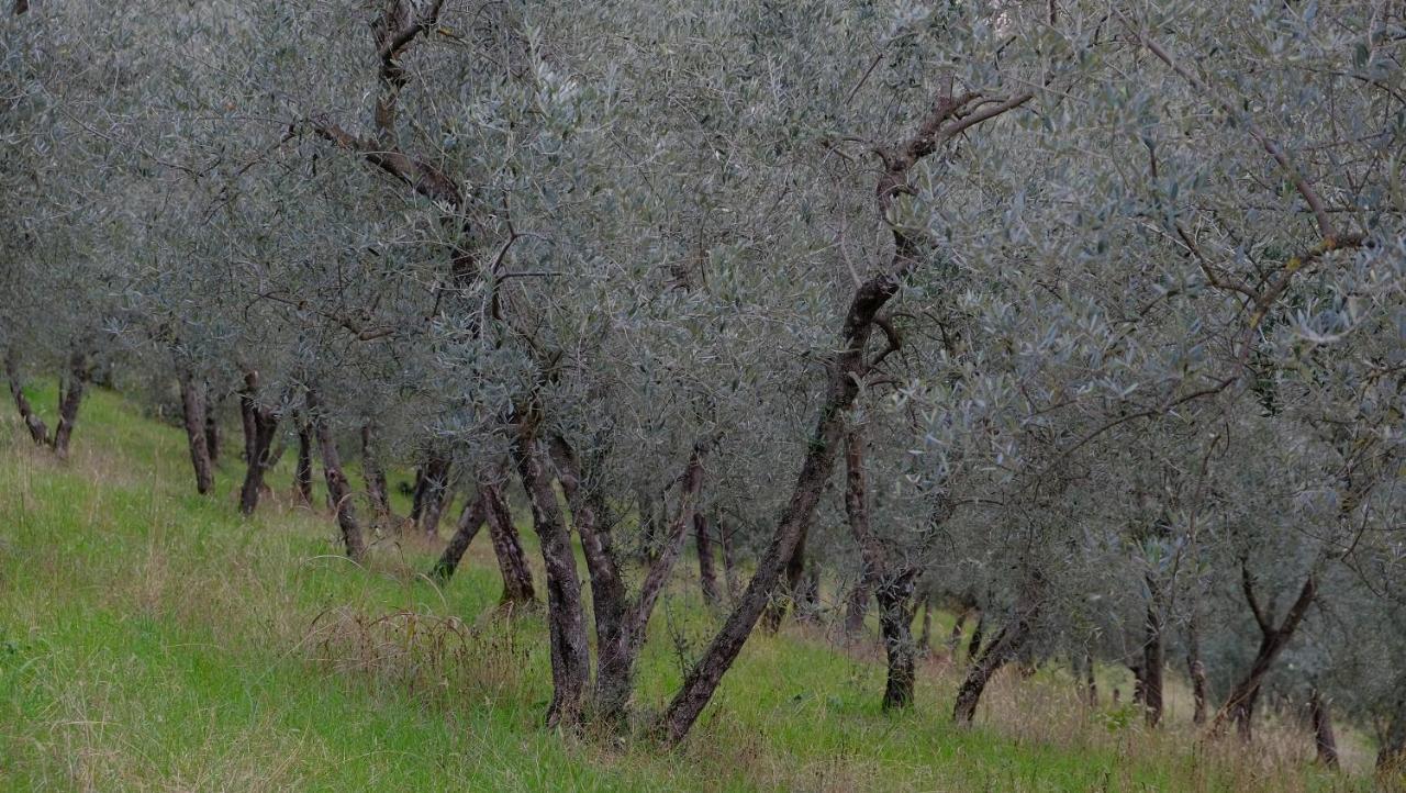 Agriturismo Il Casaletto Montefranco Exteriör bild