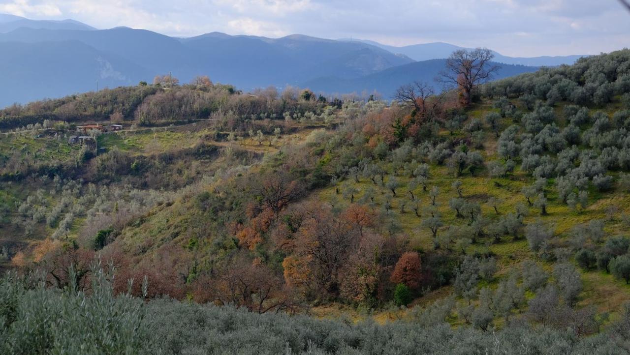 Agriturismo Il Casaletto Montefranco Exteriör bild