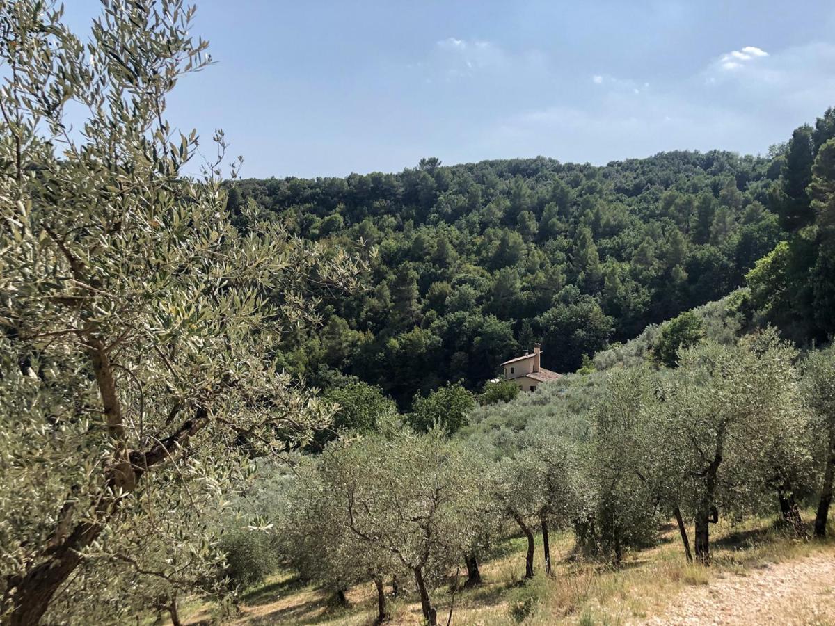 Agriturismo Il Casaletto Montefranco Exteriör bild