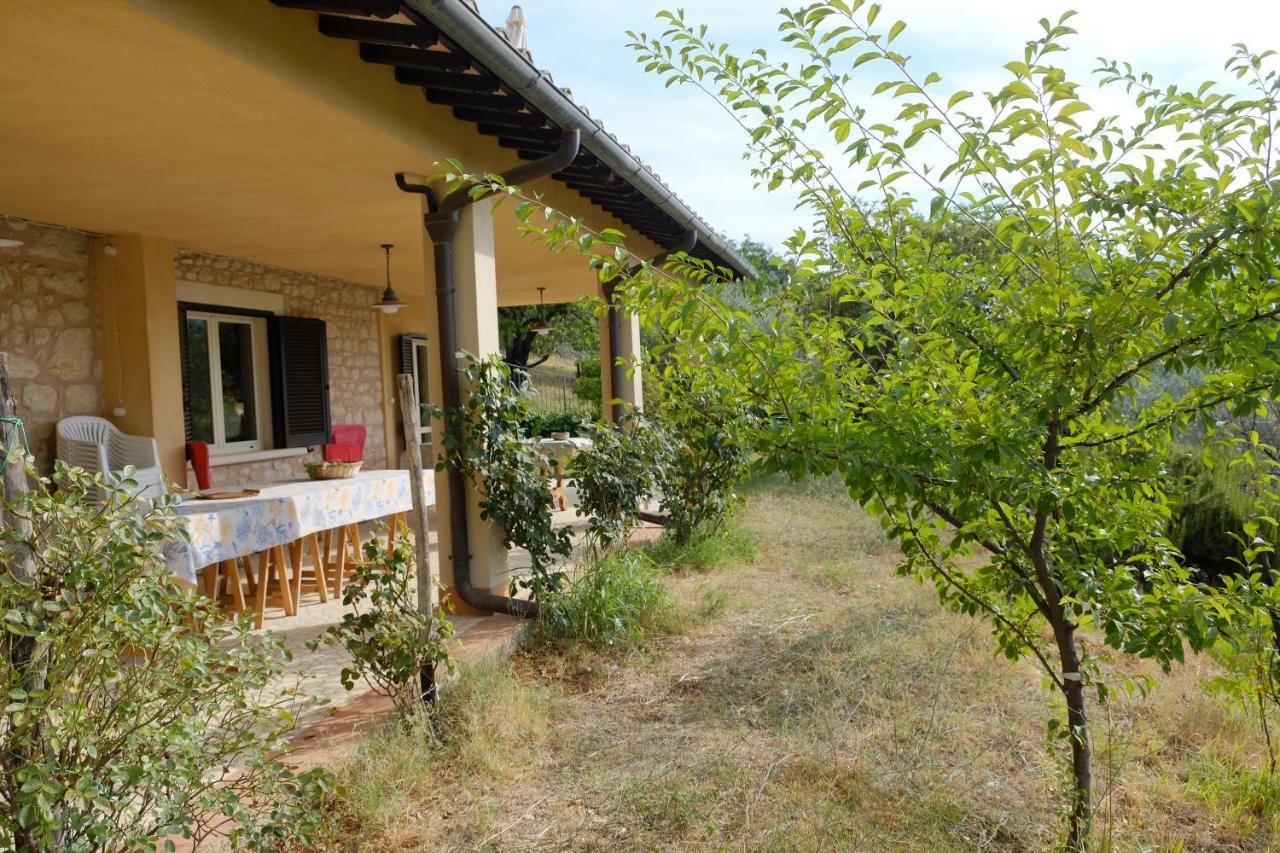 Agriturismo Il Casaletto Montefranco Exteriör bild