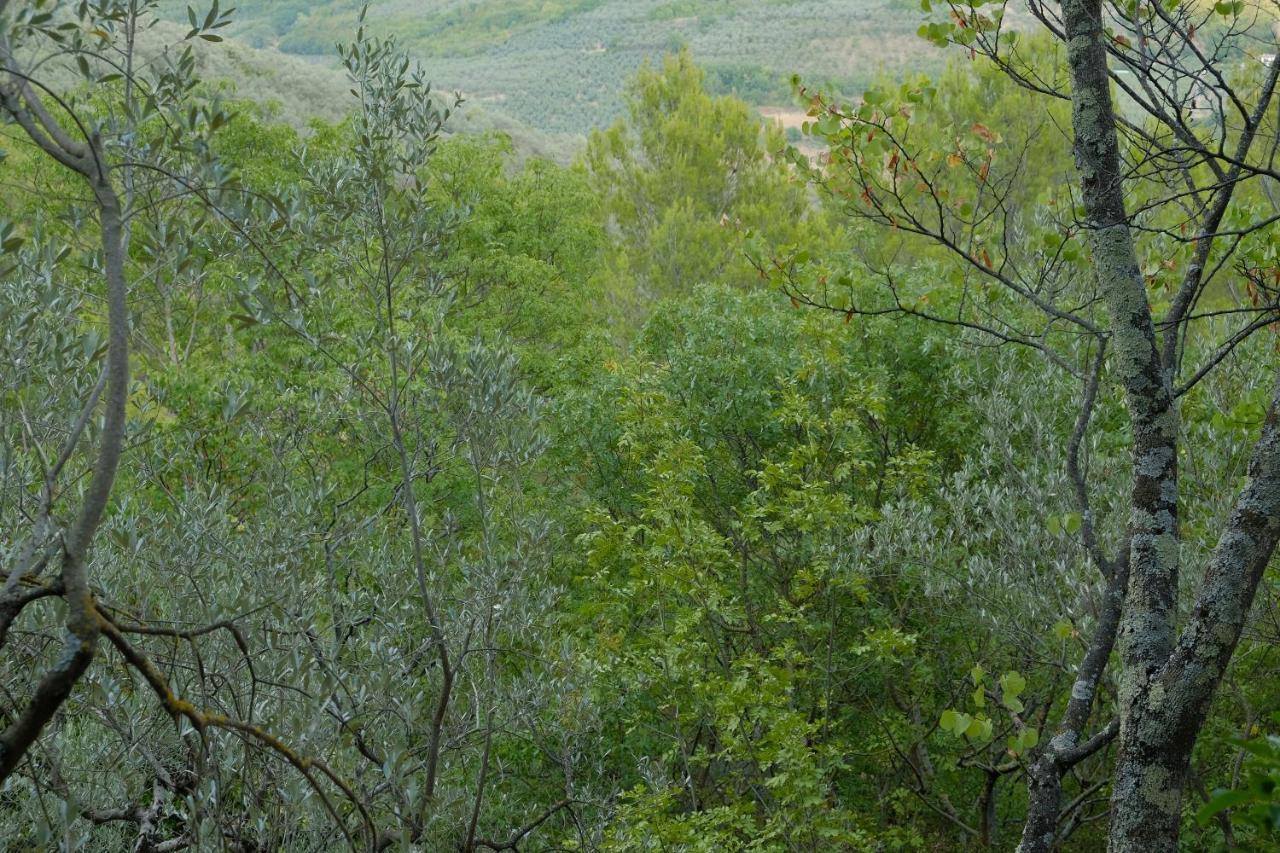 Agriturismo Il Casaletto Montefranco Exteriör bild