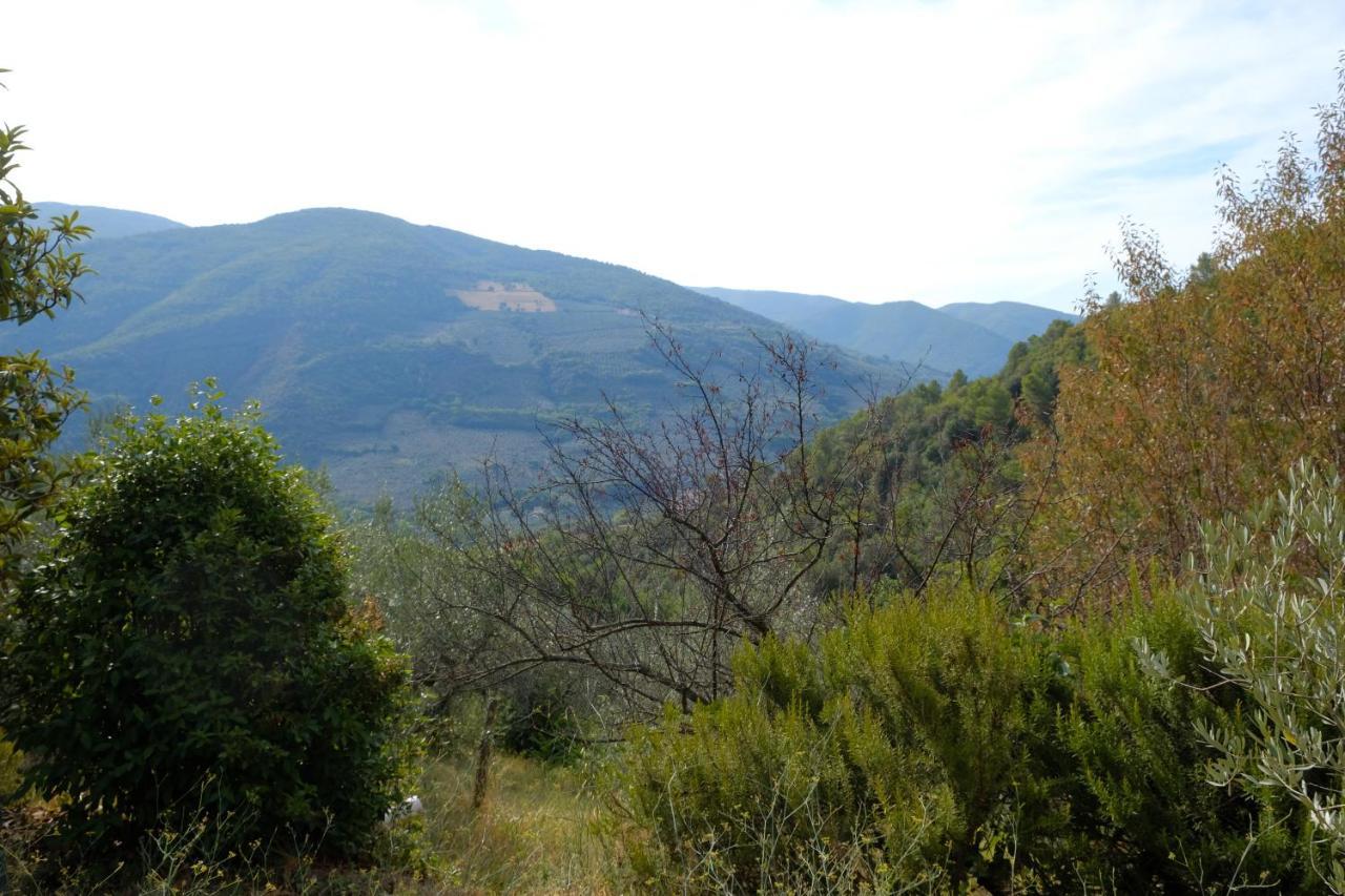 Agriturismo Il Casaletto Montefranco Exteriör bild